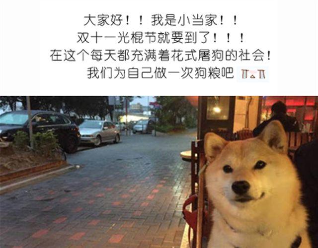 学做骨头饼干，光棍节不孤单！-第22话