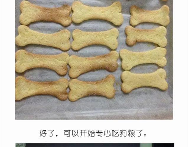 毁灭宇宙 - 学做骨头饼干，光棍节不孤单！ - 4