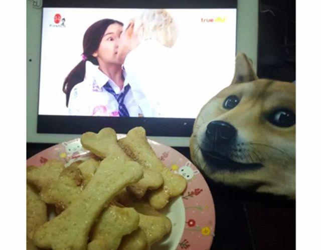 学做骨头饼干，光棍节不孤单！-第22话