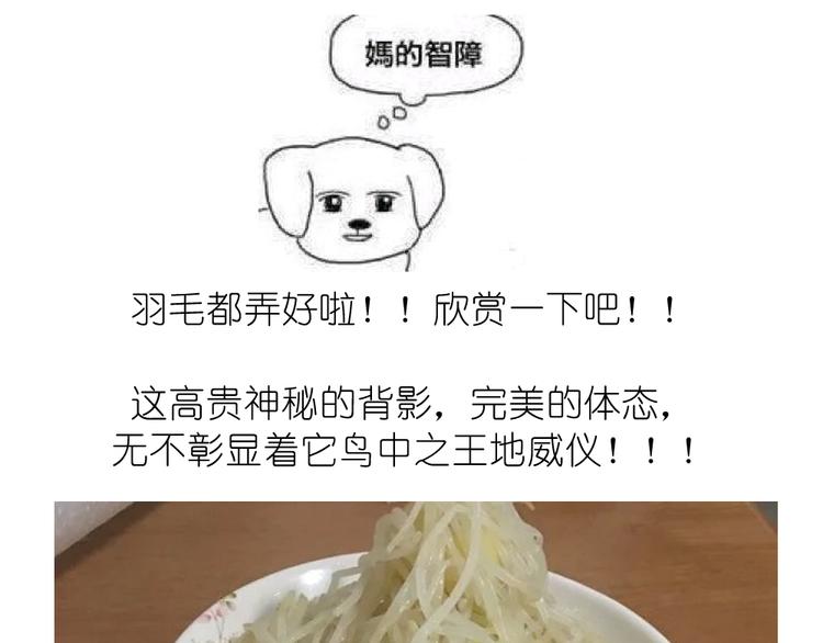 挑战漫画菜系之凤凰水晶！-第32话