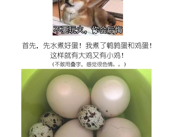 小鸡沙拉-第52话