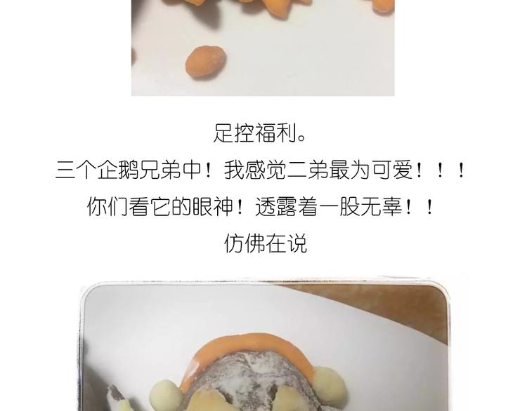 企鹅面包-第70话