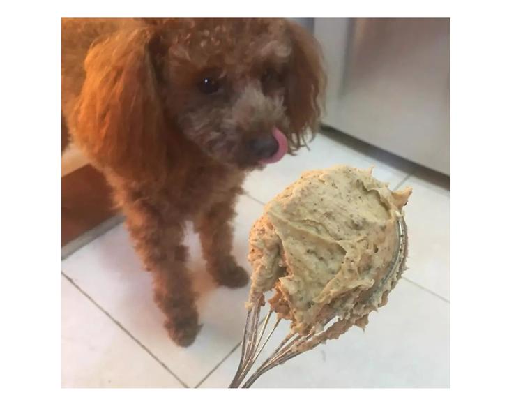 圣诞小屋-第72话