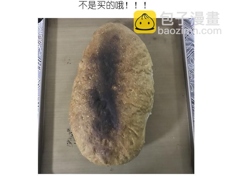 戴珍珠耳环的少女-第74话