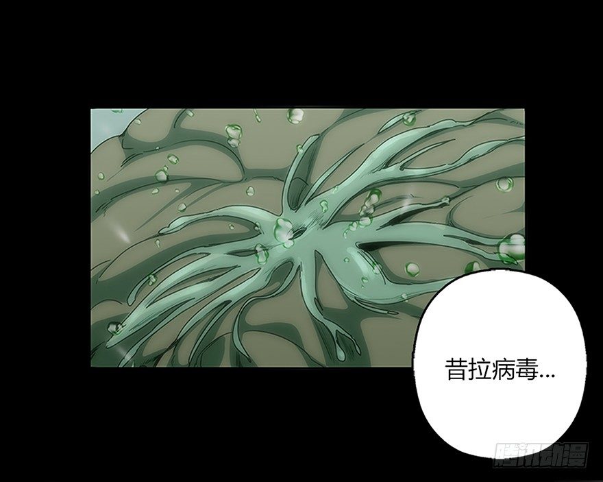 第二十集 新实验(1/2)-第20话