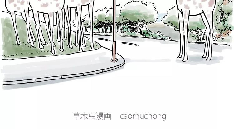 繪心一笑 - 騷氣的頭箍 - 1