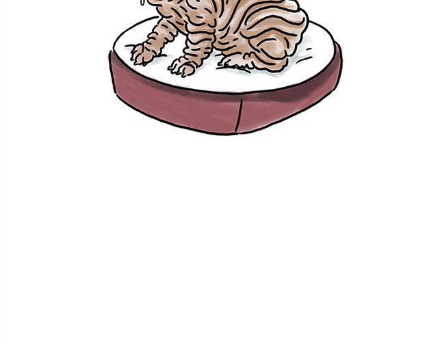 繪心一笑 - 師傅的馬戲 - 4