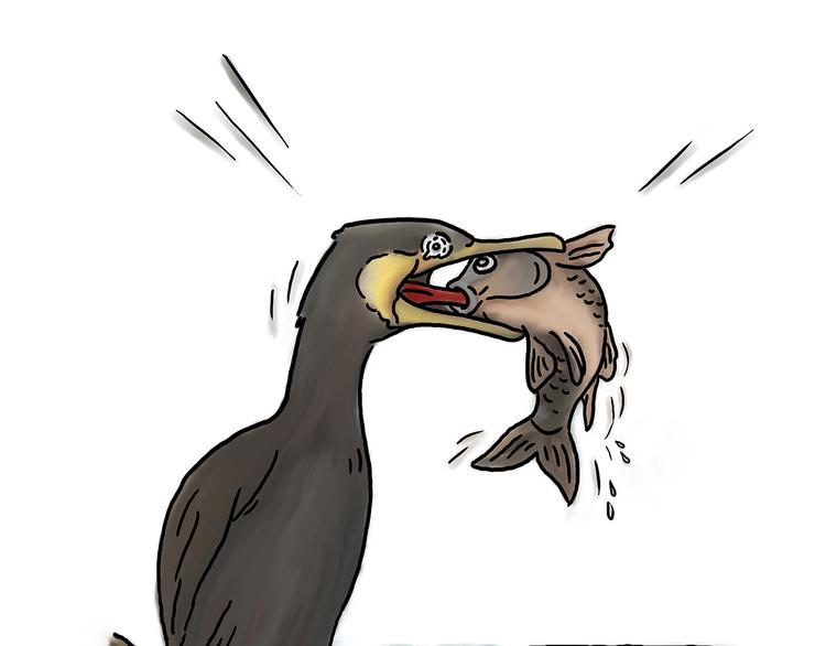 繪心一笑 - 聖誕老人會不會來？ - 5