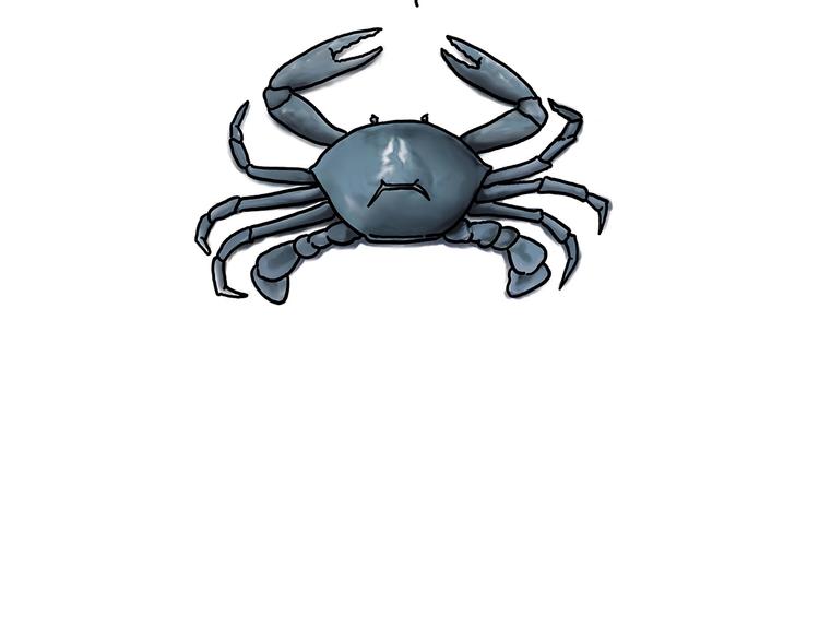 繪心一笑 - 巧手小馬 - 3