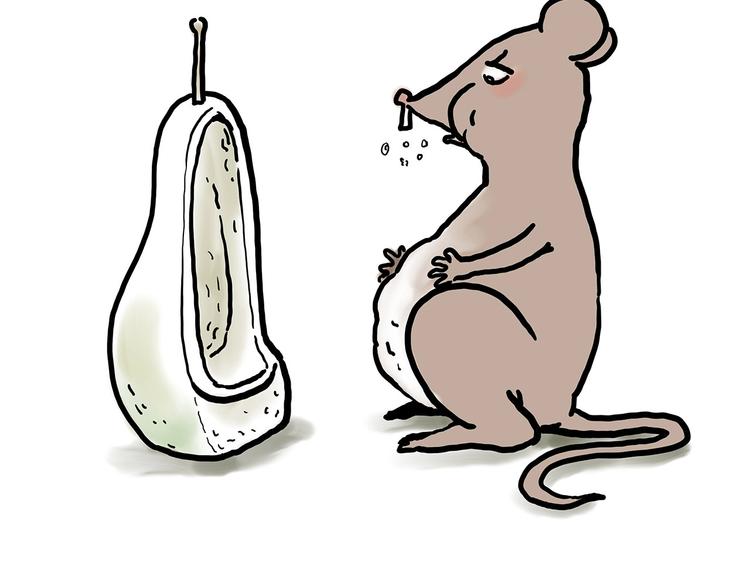 繪心一笑 - 二郎神的腿 - 6