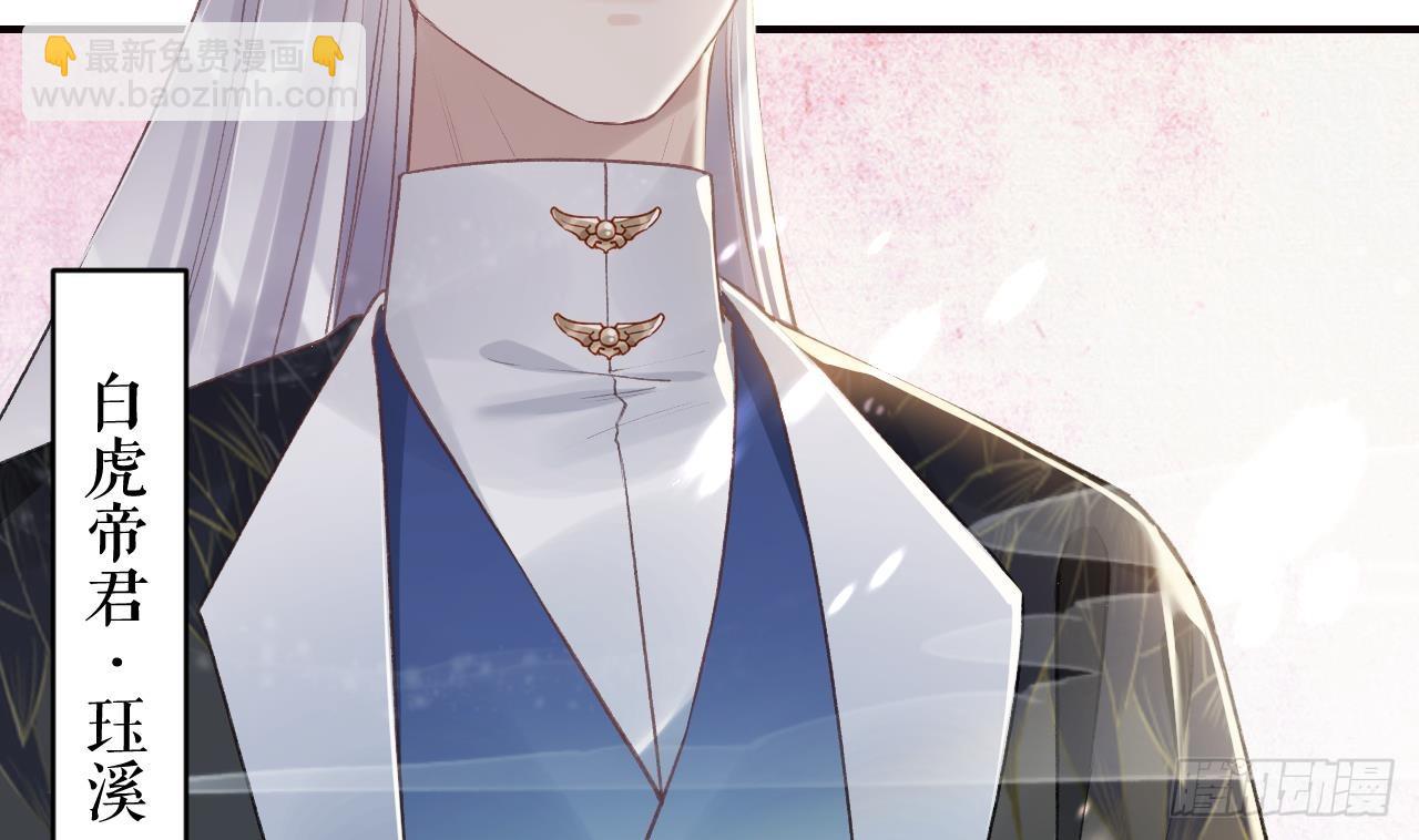 第11.5话  看看大老虎吧(1/2)-第14话