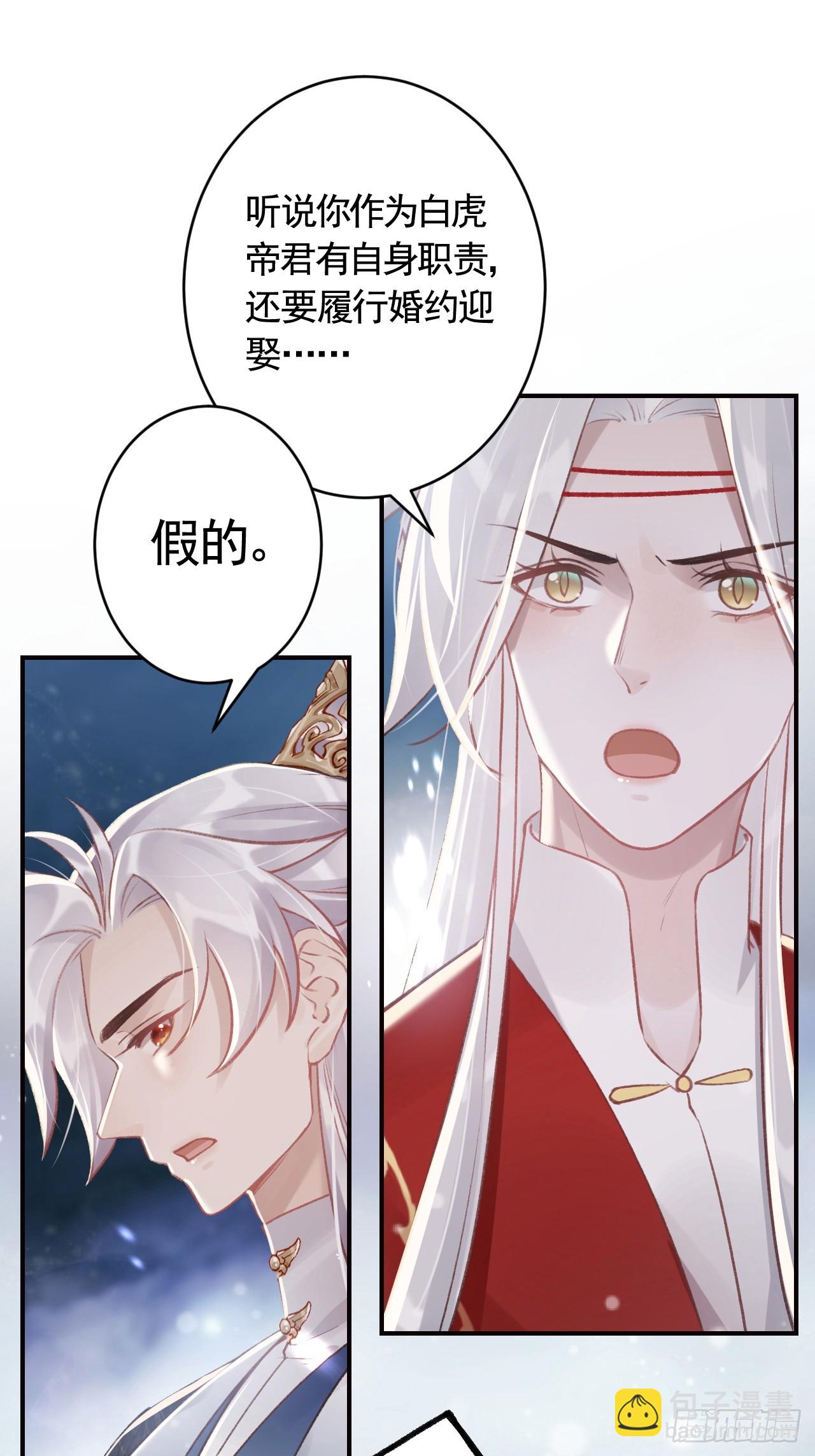 第11.5话  看看大老虎吧(1/2)-第14话