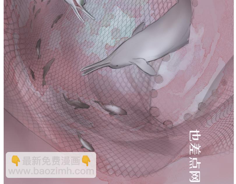 胡老師系列科普漫畫 - 科普漫畫——“長江女神”白鱀豚(1/3) - 7