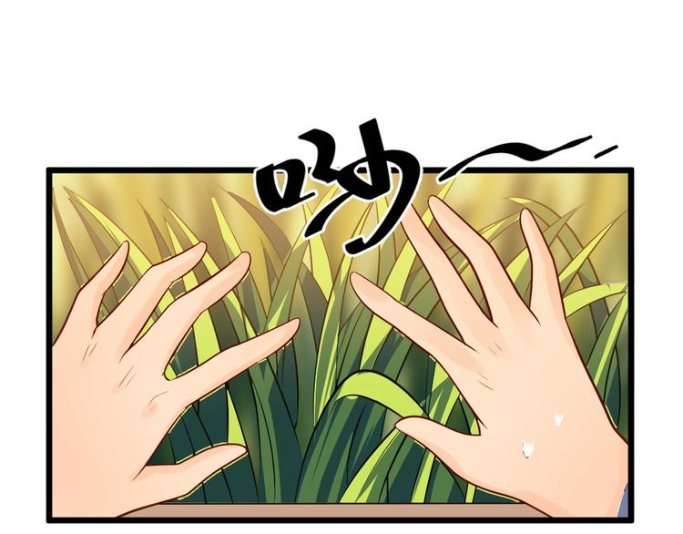 第10话  偶遇猫咪~？！(1/2)-第10话