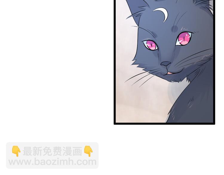 第10话  偶遇猫咪~？！(1/2)-第10话