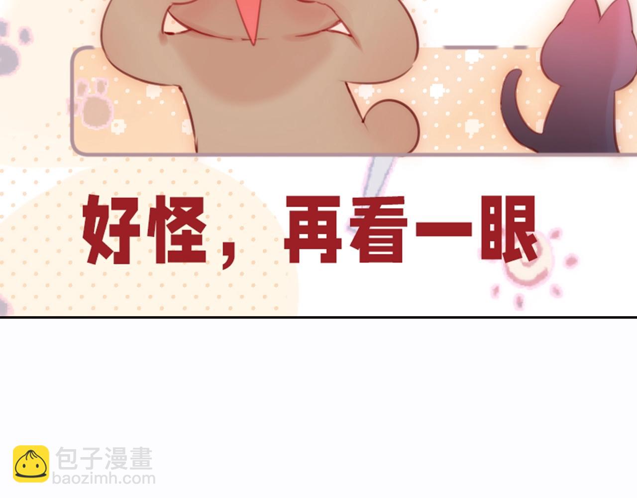 第6期 可可爱爱表情包-第80话