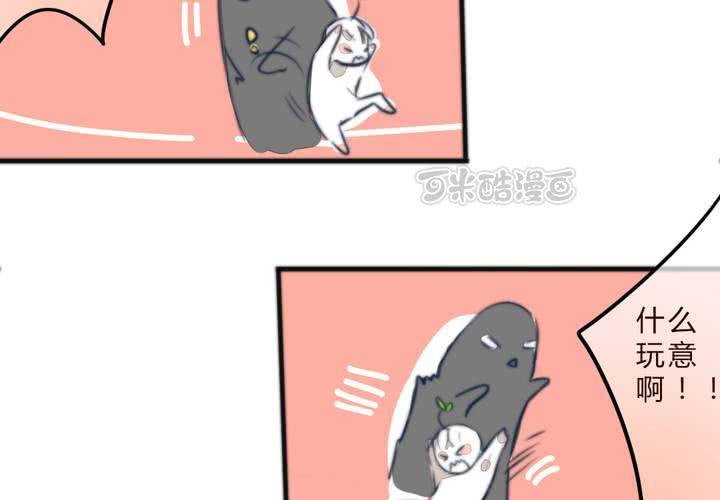 追寻(1/2)-第14话