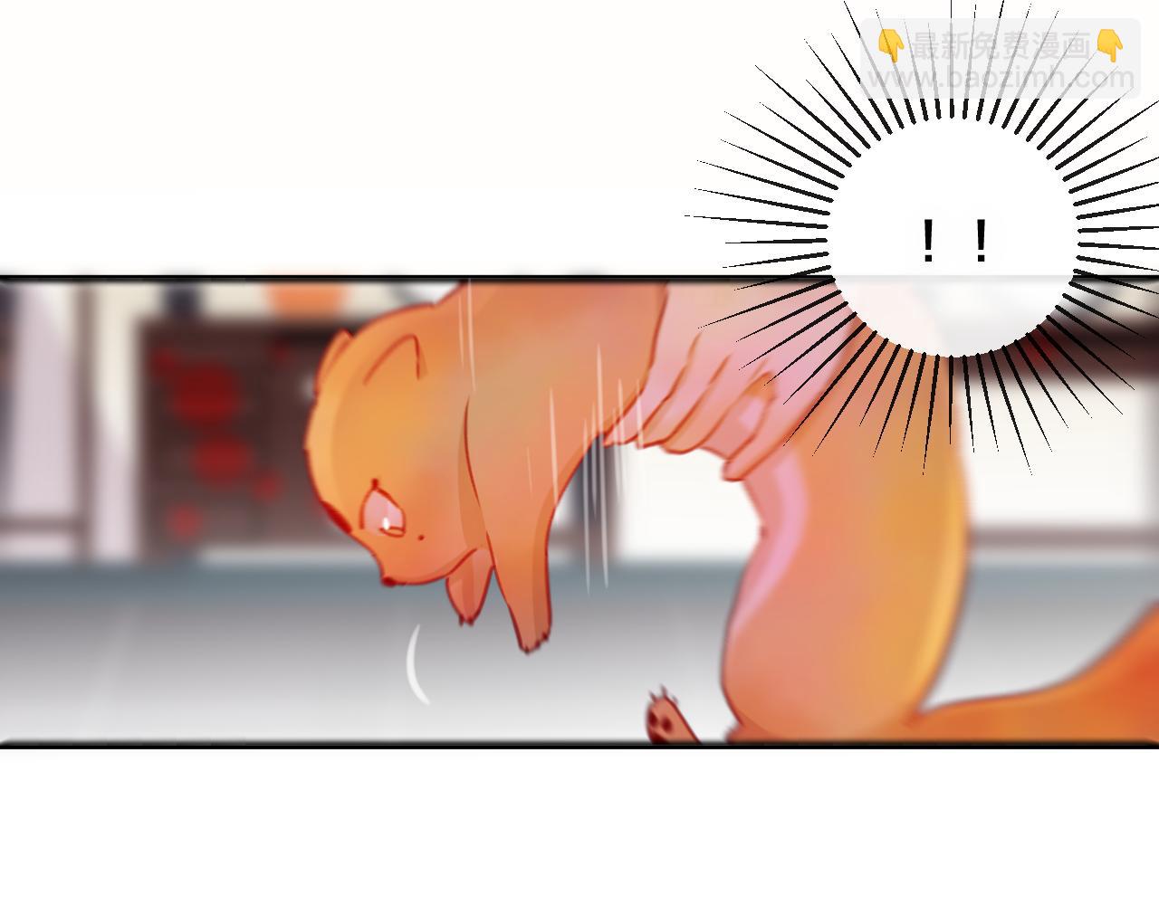 第27话 前世(1/4)-第28话