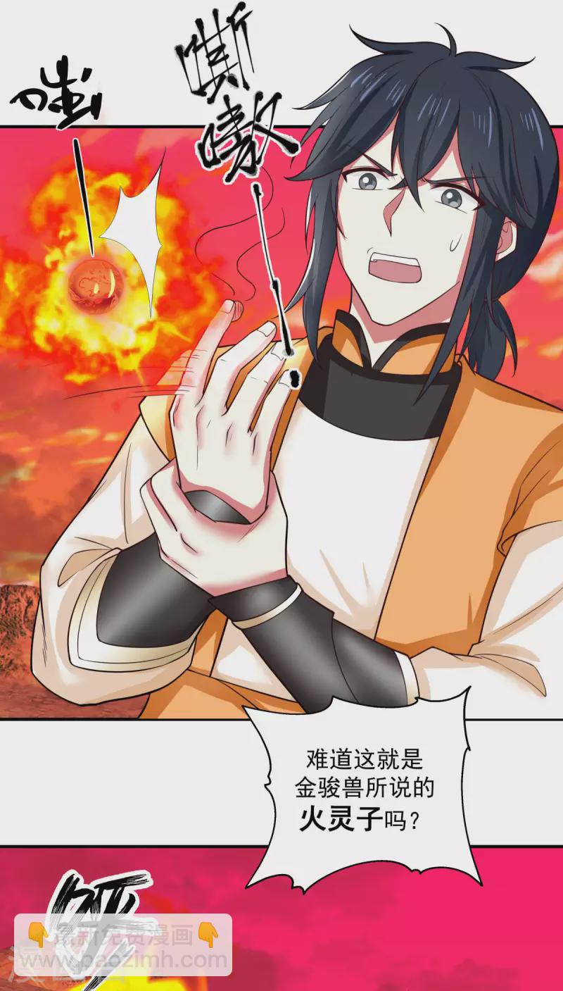 混沌丹神 - 第216話 火靈子 - 1