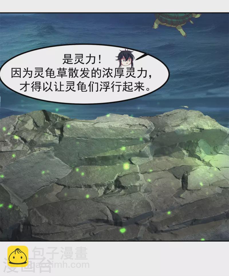 混沌丹神 - 第334話 靈龜果 - 1