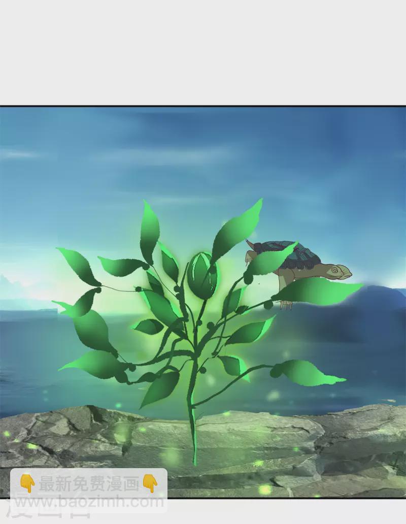 混沌丹神 - 第334話 靈龜果 - 3