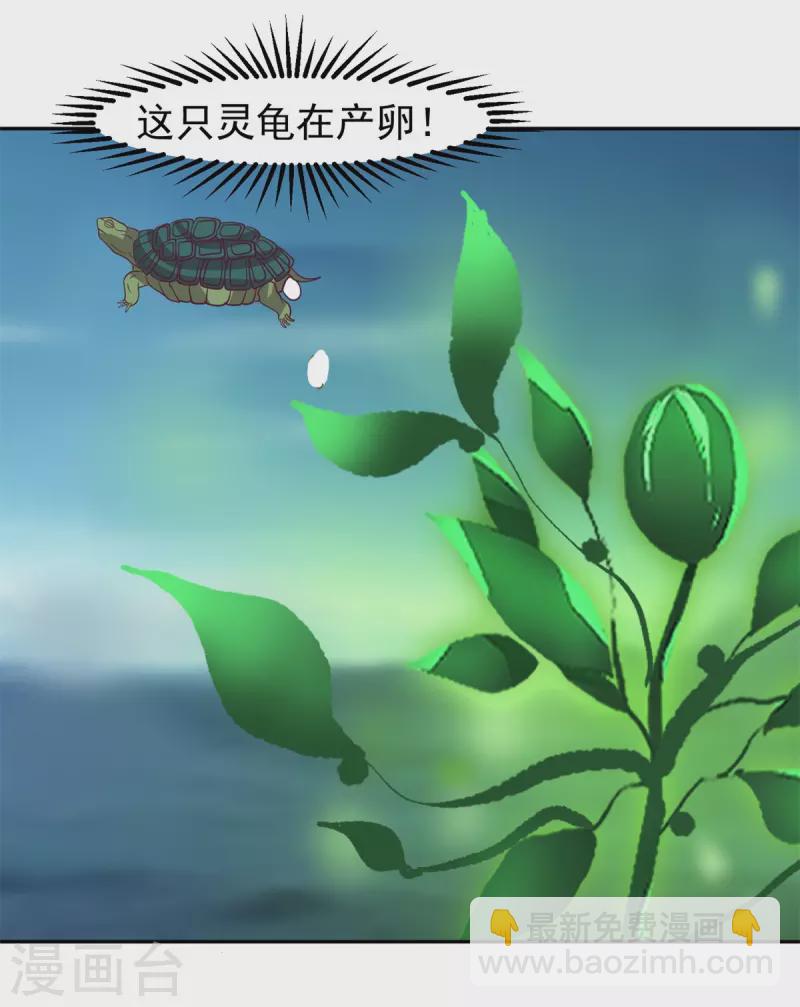 混沌丹神 - 第334话 灵龟果 - 4