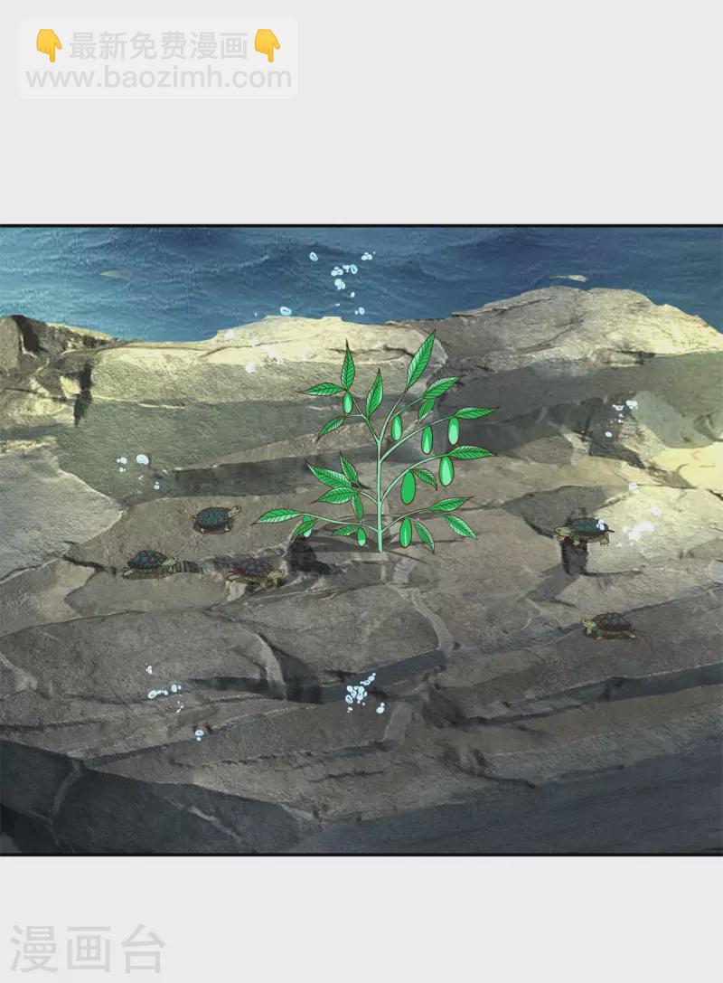 混沌丹神 - 第334話 靈龜果 - 2