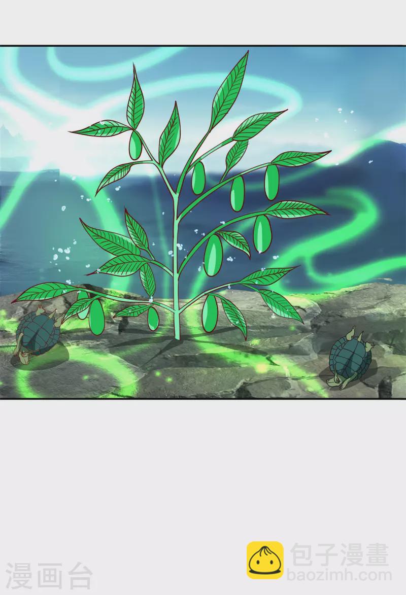 混沌丹神 - 第334話 靈龜果 - 3