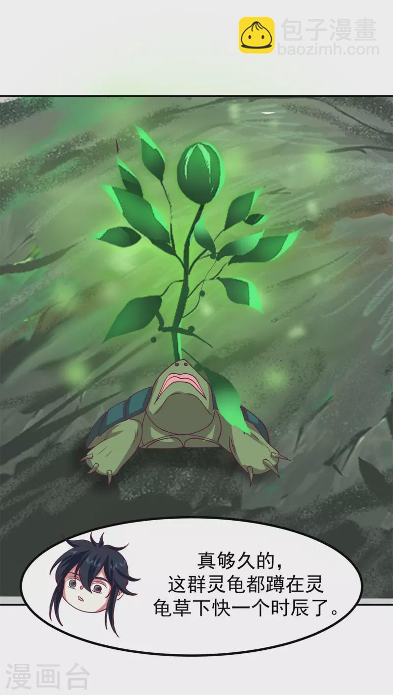 混沌丹神 - 第334話 靈龜果 - 5