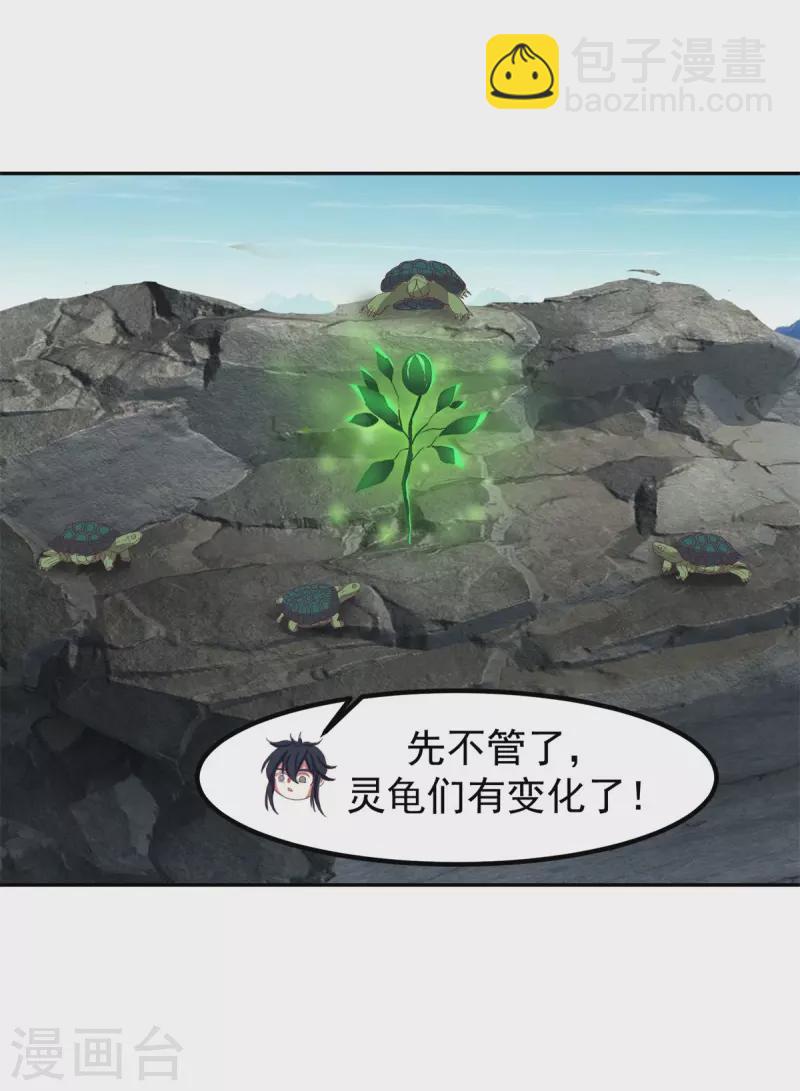 混沌丹神 - 第334話 靈龜果 - 4