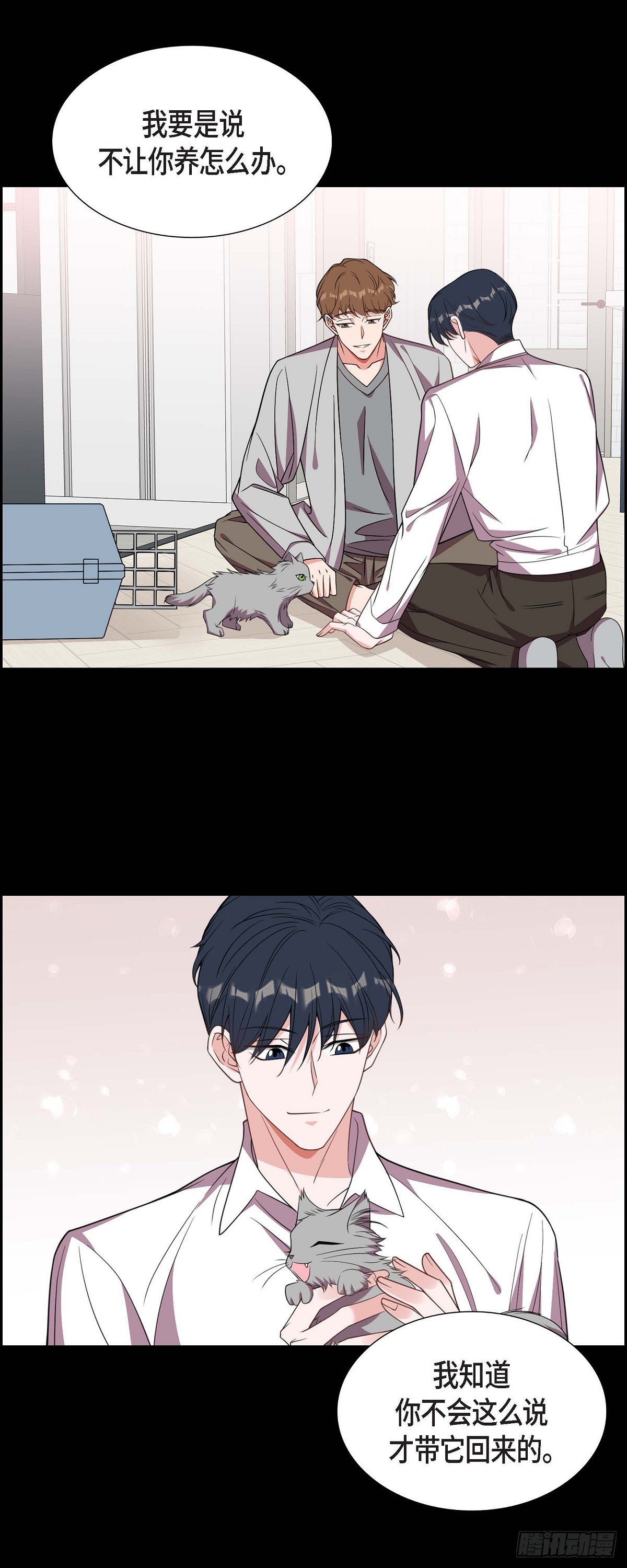 015.小猫咪-第16话