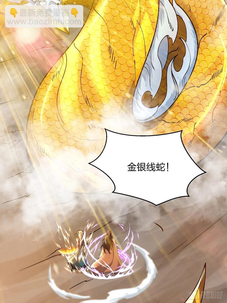 混沌劍神 - 54、金絲銀線蛇 - 6