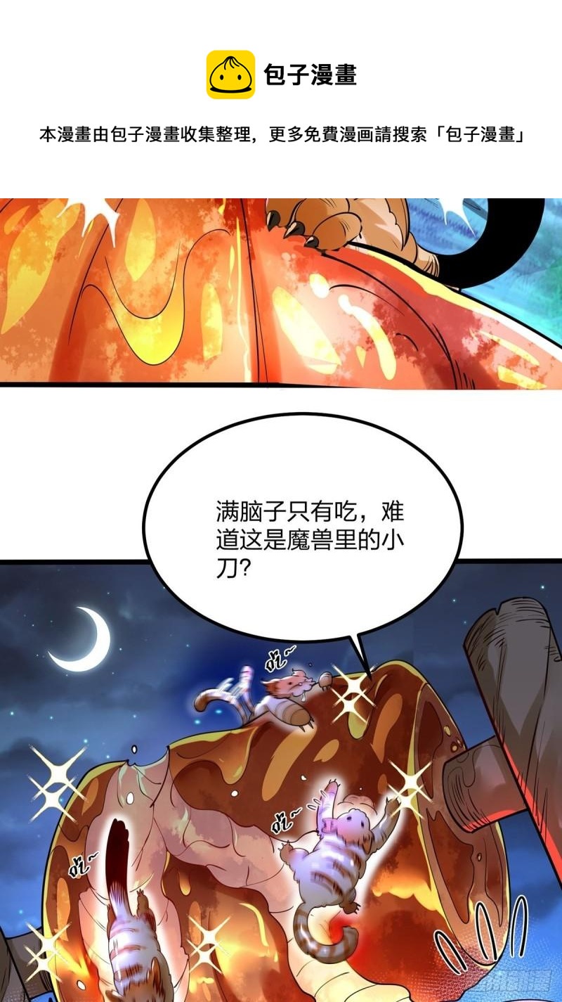 混沌劍神 - 66、美女不夠，萌寵來湊(1/2) - 5