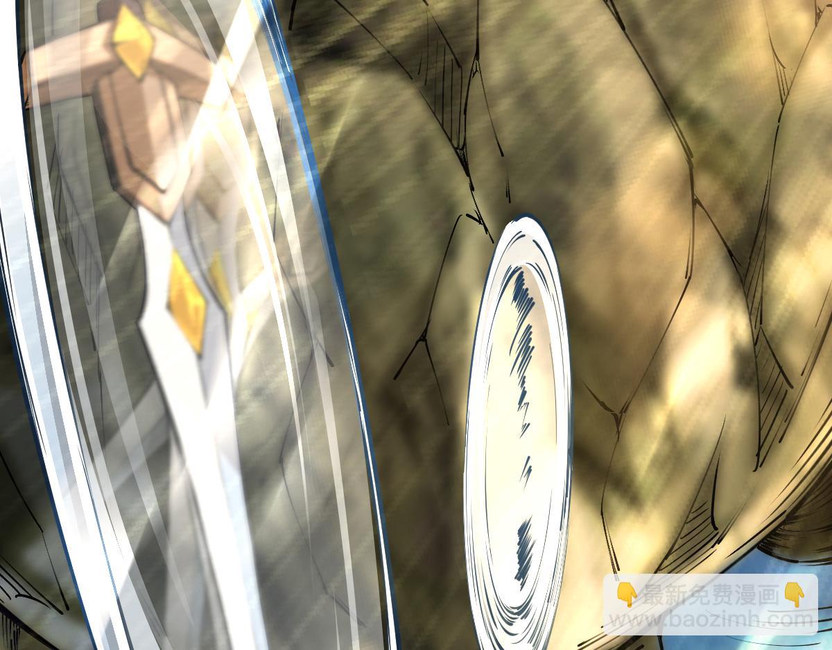 混沌劍神 - 78、戰·龜甲獸！(3/4) - 6