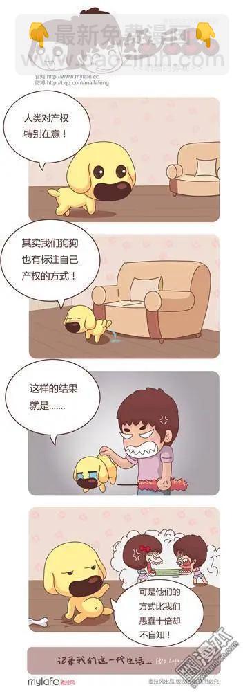 婚後80 - 第6回 新法之夜 - 2