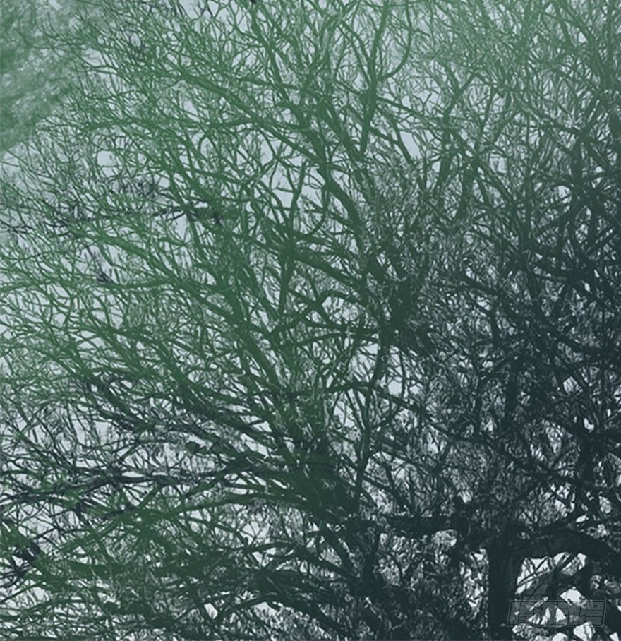 迷雾（十三）-第18话