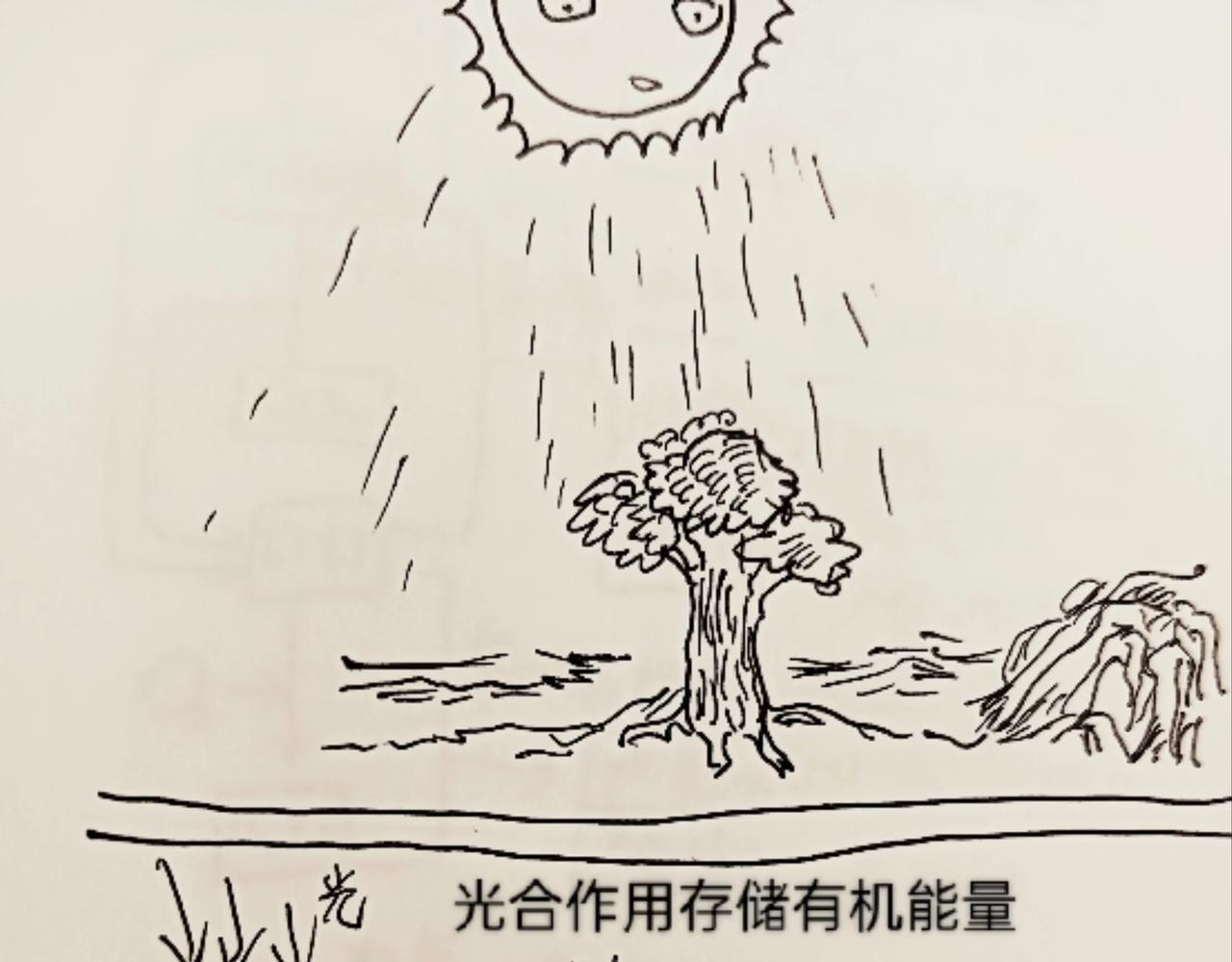 细胞的功能真强大-第10话