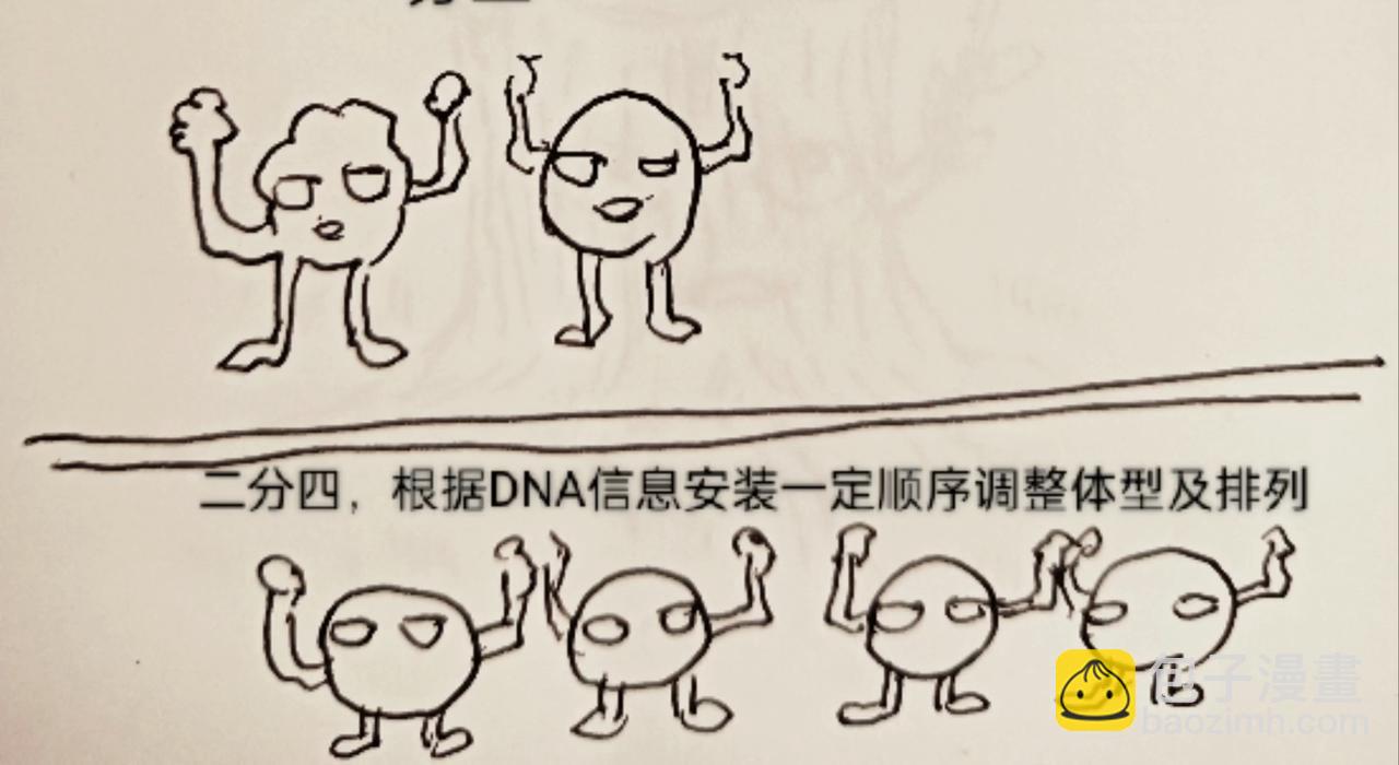 细胞的功能真强大-第10话