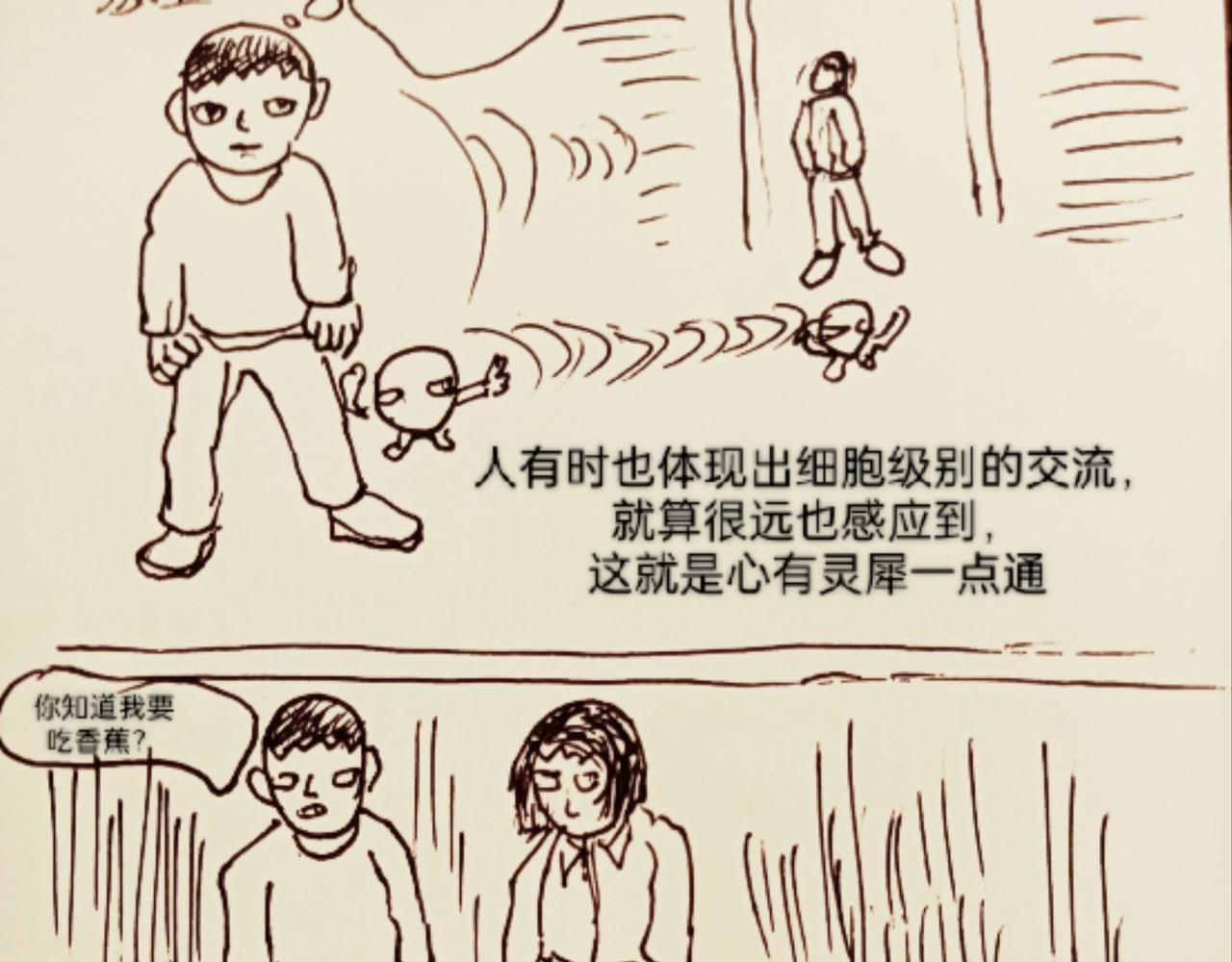 细胞的功能真强大-第10话