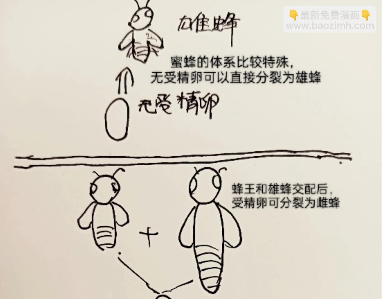 细胞的功能真强大-第10话