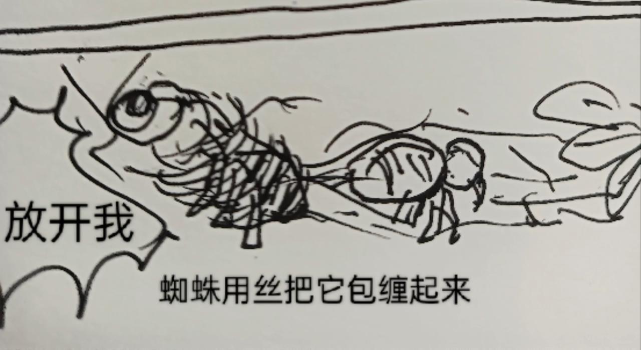 细胞的功能真强大-第10话