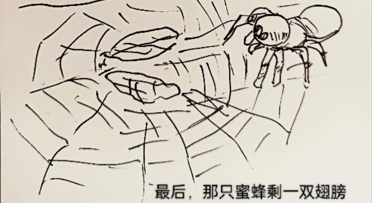 细胞的功能真强大-第10话