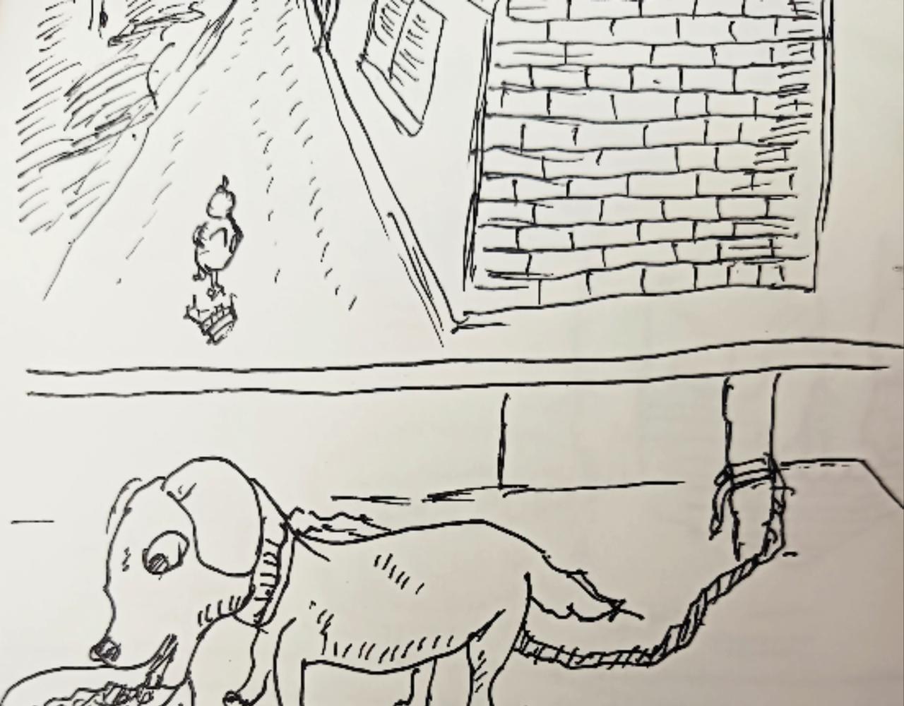 无毛鸡的愤怒-第12话