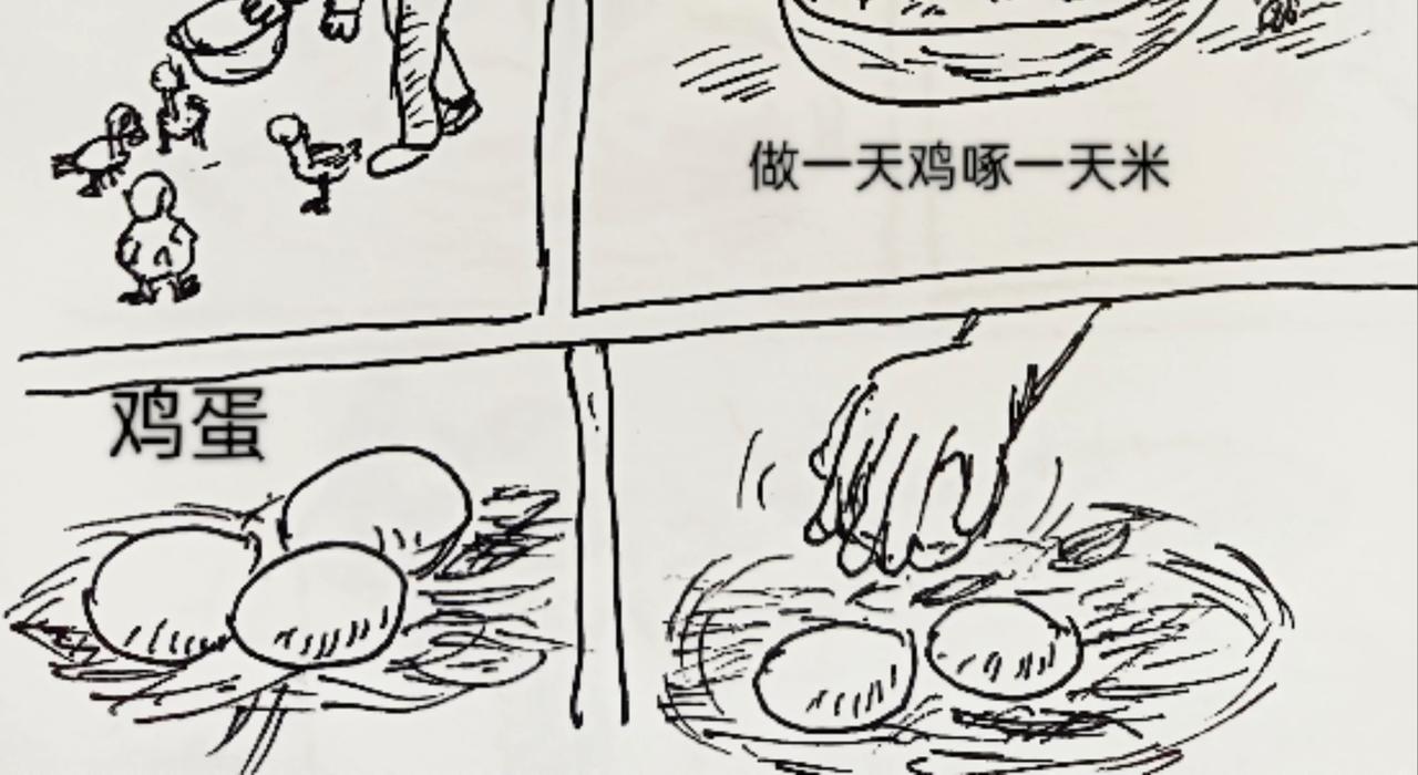 无毛鸡的愤怒-第12话