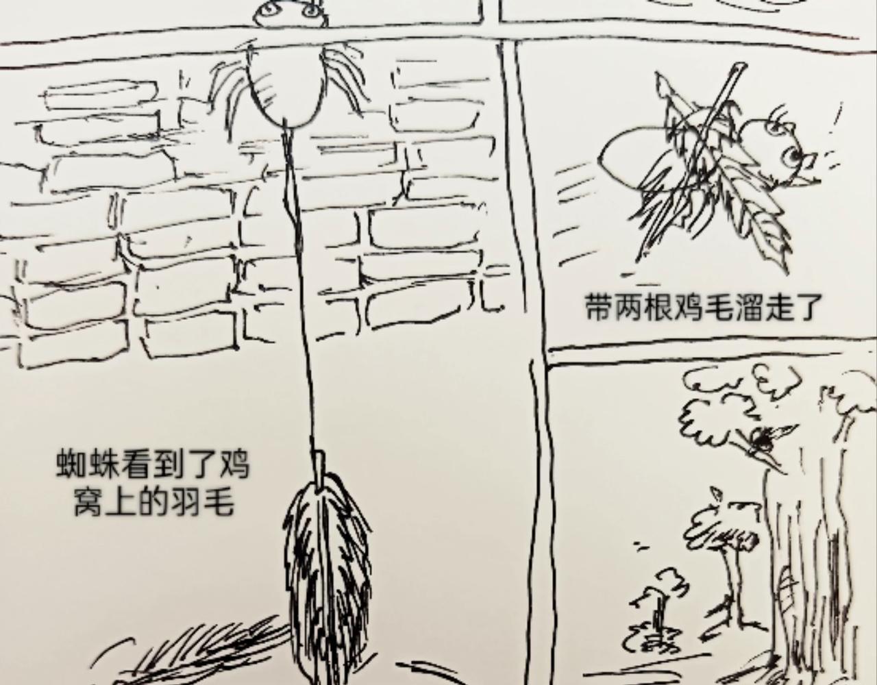 无毛鸡的愤怒-第12话