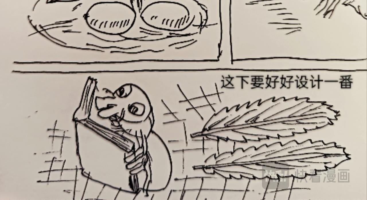 无毛鸡的愤怒-第12话