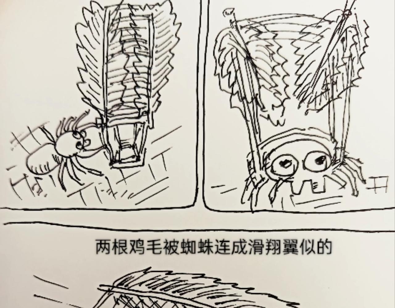 无毛鸡的愤怒-第12话