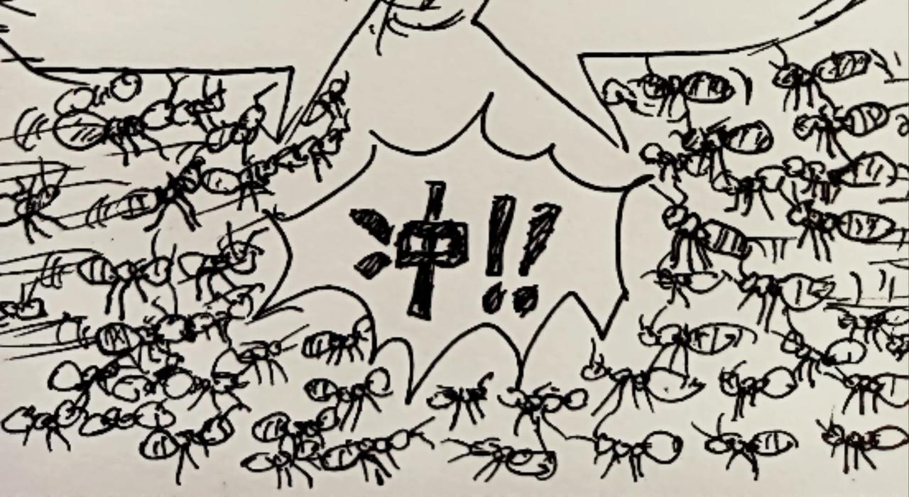 无毛鸡的愤怒-第12话