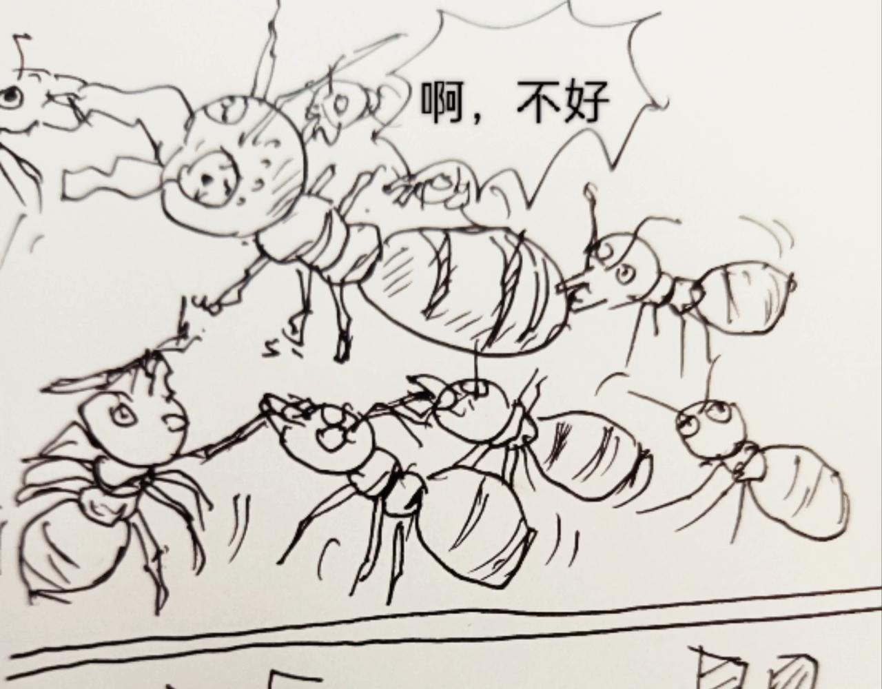 无毛鸡的愤怒-第12话