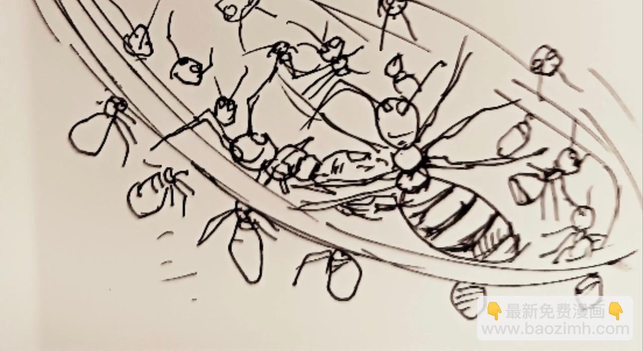 无毛鸡的愤怒-第12话